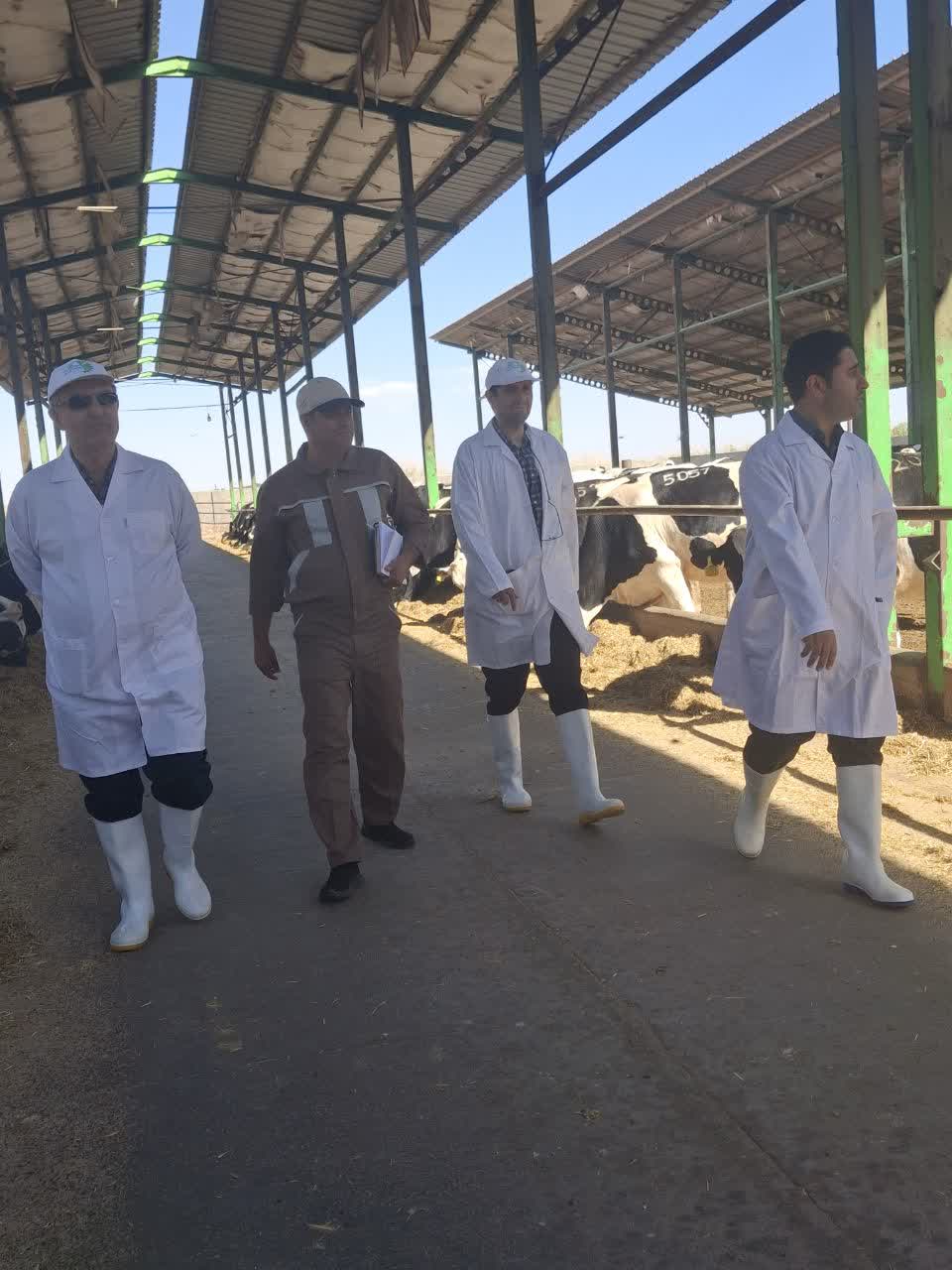 برگزاری دومین جلسه هیئت‌مدیره سال 1404 شرکت کشت و صنعت اشراق در محل فارم فخرآباد